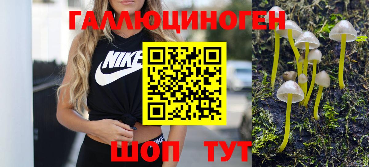 Галлюциногенные грибы Psilocybe Ливны