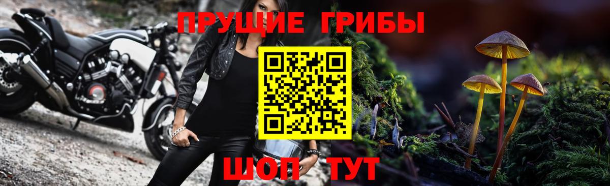 Галлюциногенные грибы Cubensis  Вход с VPN  где можно купить   Псилоцибиновые грибы GOLDEN TEACHER  Ливны 